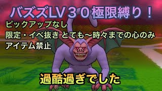 【ドラクエウォーク】これぞ極み！ バズズLV30 史上最大の縛りで大挑戦！【ドラゴンクエストウォーク】