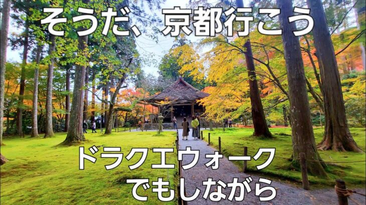 【ドラクエウォーク】秋の紅葉が美しい京都【ご当地モンスターこころは未だ０】