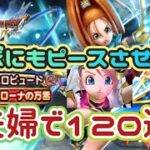 【ドラクエウォーク】【夫婦でDQW】泣いても笑ってもDQW６ラストガチャ！でろーカルベルビュート