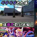 【ドラクエウォークLive】あぶない夏イベント第３章と渚の勇者姫と東所沢散歩【ニコ生同時配信】